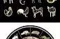 揭秘十二生的国宝星座，生肖与星座的神秘交汇