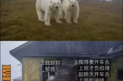 比熊叫声吉凶，揭秘图片、中的神秘预兆