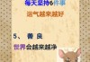 掌控五六点，掌控健康与生活