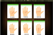 面相是什么算命的app