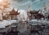 八字算命，解读命运的古老智慧