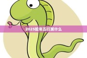 2025年属蛇运势解析，事业与感情的双重丰收