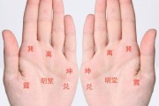 手掌横纹吉凶，科学揭示手掌纹路的神秘力量