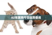 属狗人看过来！今天这些时间你最得福