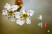 二月初明节出行吉时解析