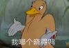 谜语中的十二星座，趣味横溢的星座之谜