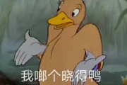 谜语中的十二星座，趣味横溢的星座之谜