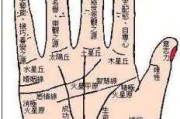 揭秘手纹断掌吉凶，传统相术的神秘解读方法
