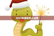 2021年生肖蛇运势，智慧与沟通的 year