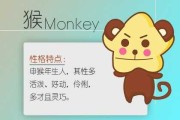 生肖猴下周运势表，事业与健康的关键点解析