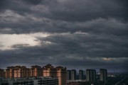 阴天看到壁虎，预兆与解梦解析