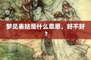 梦到打骂大姑，解析其深意与寓意
