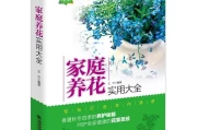 嗯，用户让我写一篇关于家养紫根兰讲究的文章，还给了标题和字数要求。首先，我需要确定标题，可能需要吸引人，同时涵盖和紫根兰。，文章内容要不少于906个字，所以得详细展开