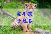 温姓宝宝取名，水虎寓意下的名字选择与文化寓意