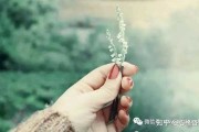 不建议给别人算命，隐私、心理与的多面考量