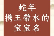 姓沈的蛇宝宝命名攻略，巧用寓意与文化，赋予独特姓名