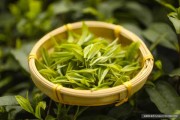 茶叶中的密码，解析茶叶与生活的关