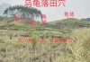 甘肃布局，自然与人文的融合
