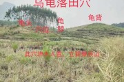 甘肃布局，自然与人文的融合