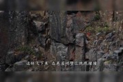 楼顶死亡小鸟，解读神秘预兆，探索解梦奥秘