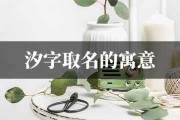 虎宝宝取名汐，寓意深刻，名字