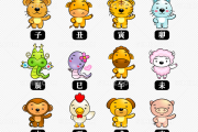 生肖鼠今年事业运势解析，机遇与并存