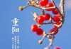 2018年九月初九重节吉时，传承与感恩