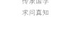 八字测算排盘问真，从基础到高级的全解析