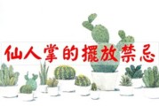 子午向摆设解析，化解影响，打造和谐家居