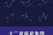 星象解析，十二星座最配什么剑！