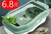 养龟用什么缸好？选择与调和的乌龟缸指南