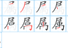 属虎今日运势解析，如何抓住机会，迎接新