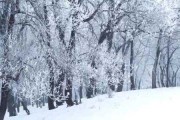 梦见大雪，揭秘梦境中的神秘兆头与解梦指南