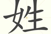 姓施的鸡宝宝，传统与现代的取名之道
