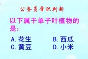 门前三甲，选择一个合适的植物，开启你的之门