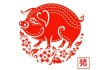 2023年生肖猪运势揭秘，背景下的运势指南解析