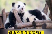 佑安宝宝，那些你可能不知道的取名灵感