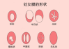 座，最聪明、最细致的星座