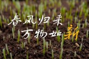 寒尽春来 万物更新