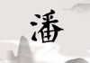 姓潘国的女宝宝取名灵感与技巧