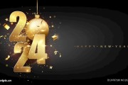 2024年12生肖过年运势全解析，事业、感情、健康全 coverage