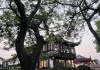南翔古镇，求签背后的历史与文化