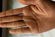 手纹断掌吉凶图解，解析与应用