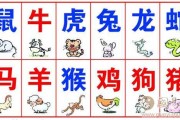 生肖兔后半年姻缘运势解析，Rabbit’s Compatibility in Love