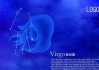 十二星座龙，跨越文化与星座的奇妙联想