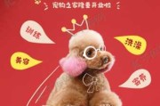 万达宠物店开业庆典举行，小动物们的新生活 beginning！