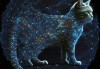 十二星座欢的是什么猫