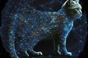十二星座的猫 companion