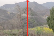 出贼寇的山峰，揭秘神秘的山峰布局