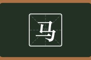 属马宝宝取名指南，传统与现代结合